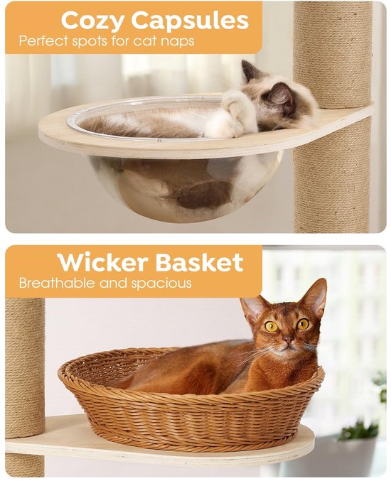Een kat ligt in een glazen bol, en een andere kat in een rieten mand.