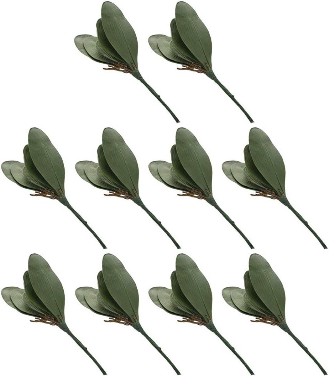 Kunstorchidee Bladeren - Nep Orchidee Bladeren - Bloemstukken Maken - Real Touch Materiaal