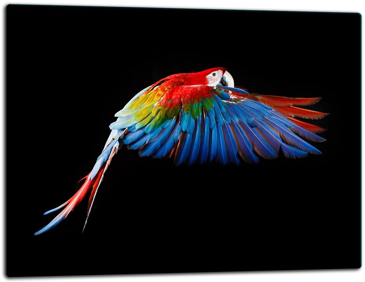 TMK ArtDeko - Snijplank - 52x40cm - Papegaai - Glas