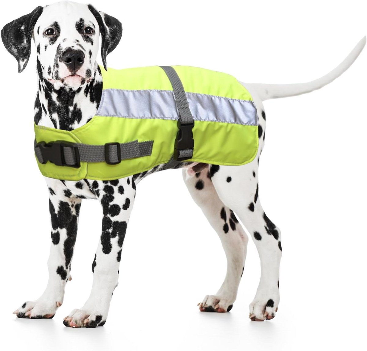 Hondenjas Reflecterend - Hondenjas Veiligheid - Wandelen met Hond - Warmte-isolerend Materiaal - 50 cm - Geel