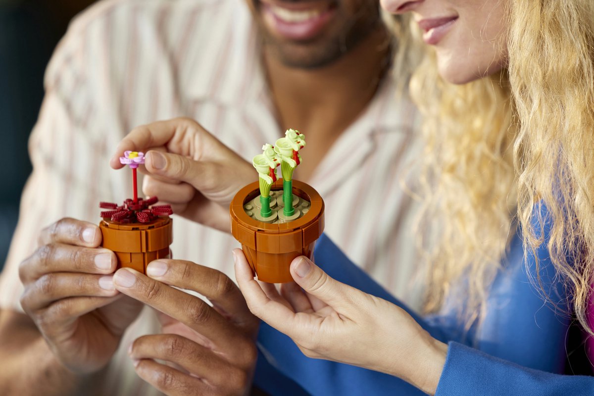 LEGO Icons Miniplantjes - Botanical Collection - 10329 — afbeelding 23