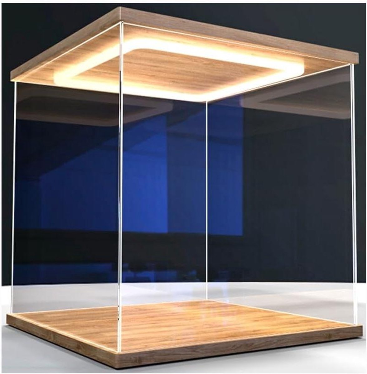 Acryl Vitrinekast - Opbergcontainer Showcase - Verzamelingen Tonen - Met Deur Inclusief Licht - 50x25x25cm - Transparant