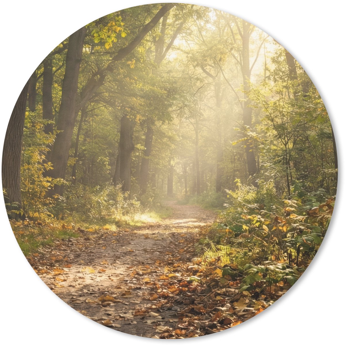 Muismat rond 50x50 cm - Mousepad Zonlicht - Bospad - Bomen - Ronde muismatten