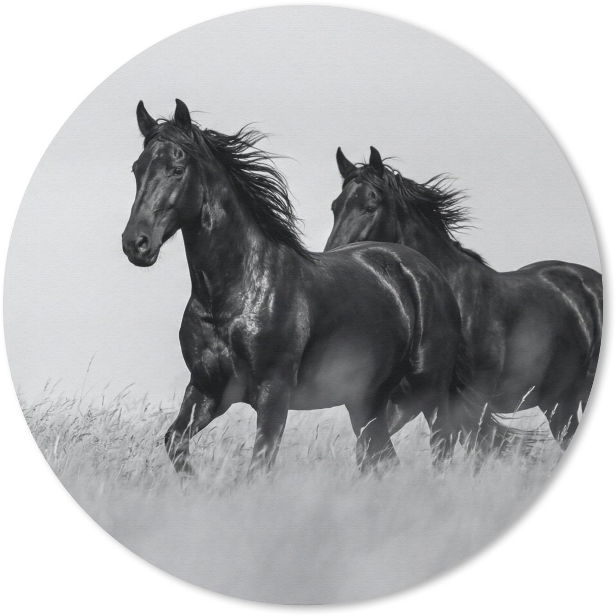 Muismat rond 40x40 cm - Mousepad Paarden - Gras - Zwart - Wit - Ronde muismatten