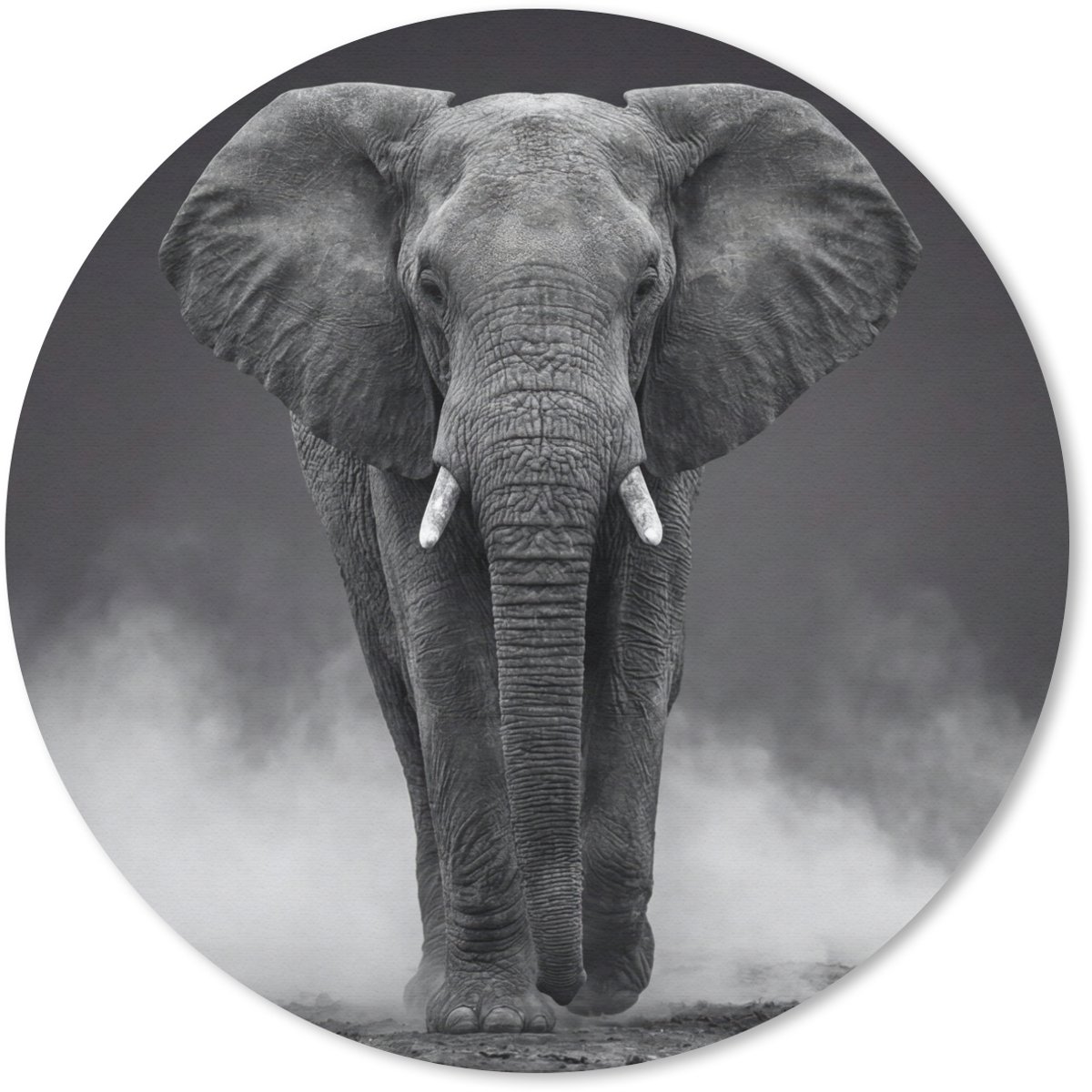 Muismat rond 20x20 cm - Mousepad Olifant - Zwart - Wit - Rook - Ronde muismatten