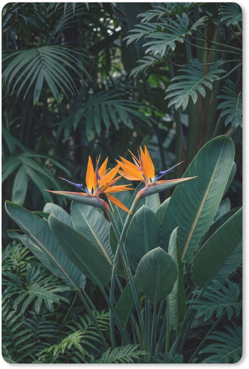 Muismat 13x20 cm - Mousepad Paradijsvogel - Bloem - Exotisch - Muismatten