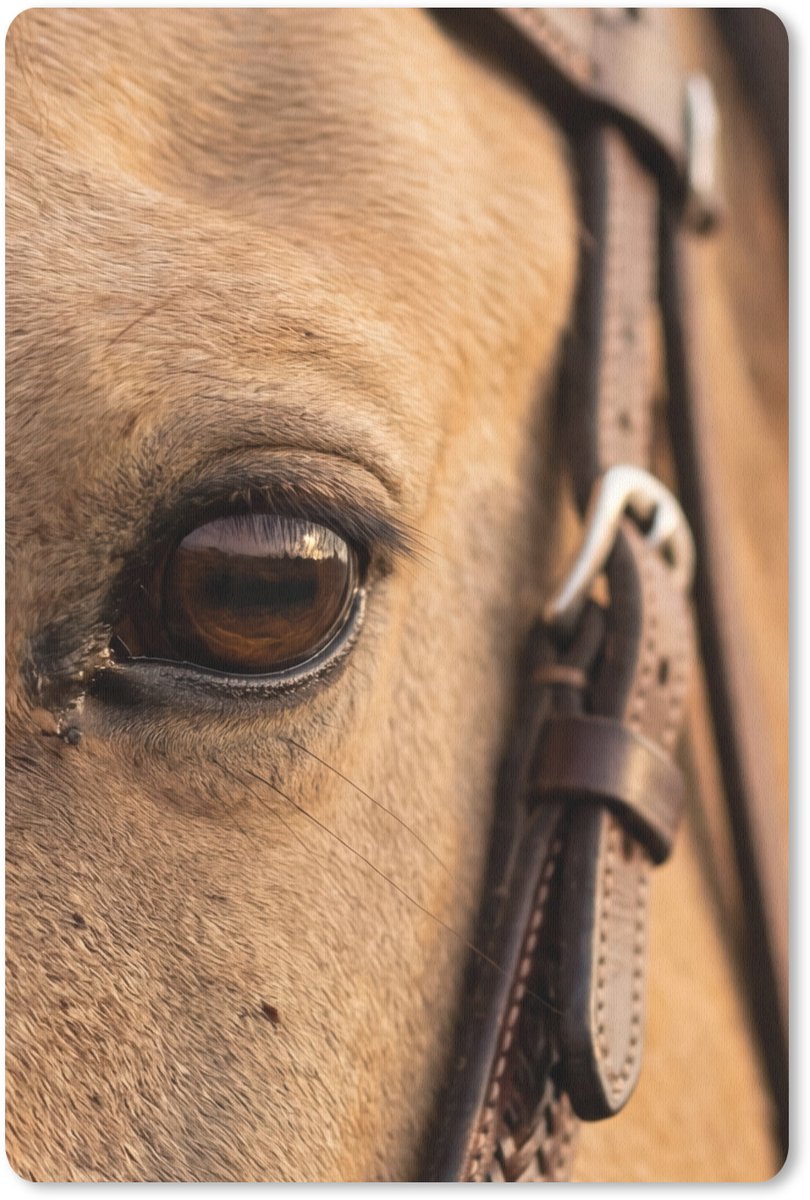 Muismat 13x20 cm - Mousepad Paard - Oog - Bruin - Muismatten