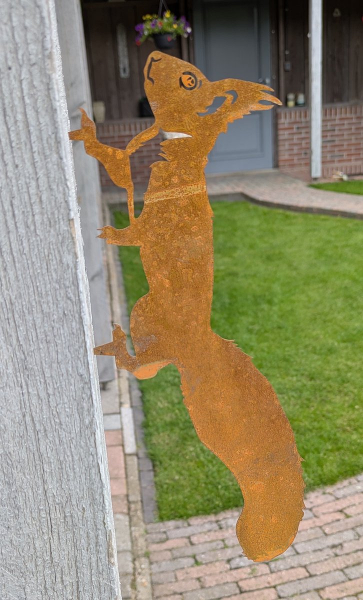 Ornament voor binnen of buiten in de tuin; verroeste metalen eekhoorns set van 3