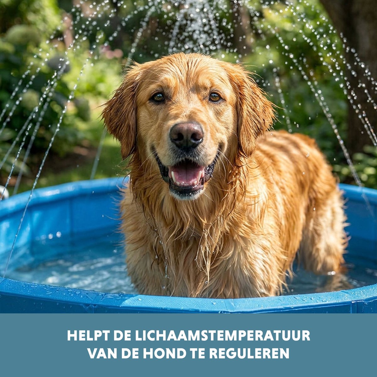 Coolpets Splash Sprinkler Pool - ø120 x 30 cm - Verkoeling Hond - Waterspeelgoed - Waterspeelgoed Hond - Hondenzwembad - Hondenbad - Blauw thumbnail 3