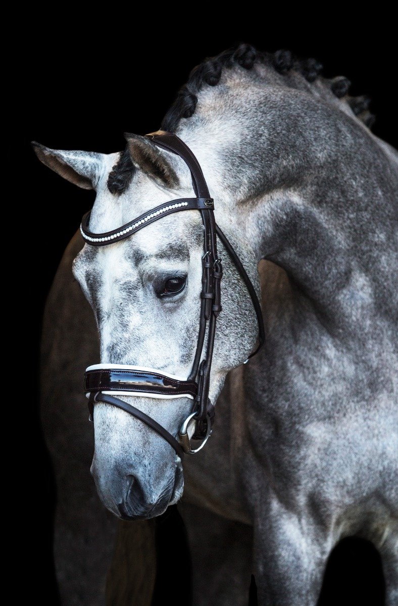 Premiera Verona bruin anatomisch hoofdstel met wit onderlegde neusriem - Full