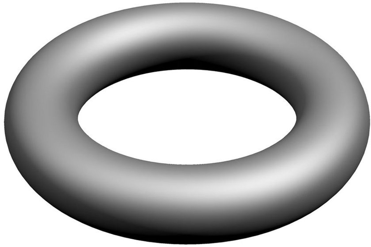 BOSCH O-ring (10x), 87002051010