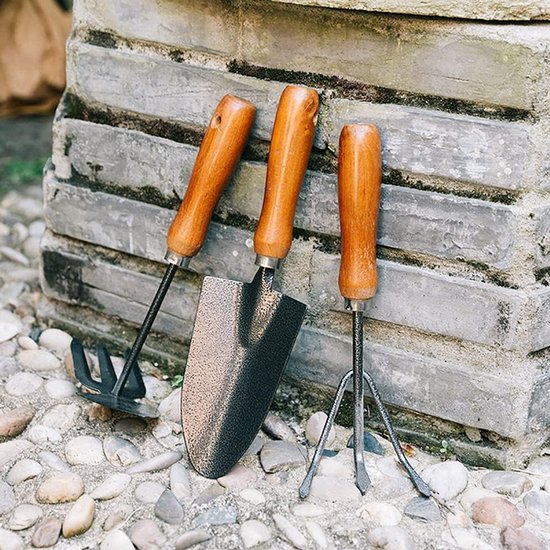 Mini tuingereedschap set - Houten handvatten - Bodem voorbereiden - Duurzaam en roestvrij - 25 cm lengte - Niet gespecificeerd van MINI — afbeelding 4