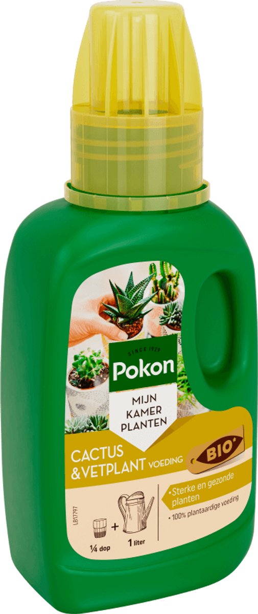 Pokon Cactus & Vetplant voeding - 250ml - Plantenvoeding - 20ml per 1L water