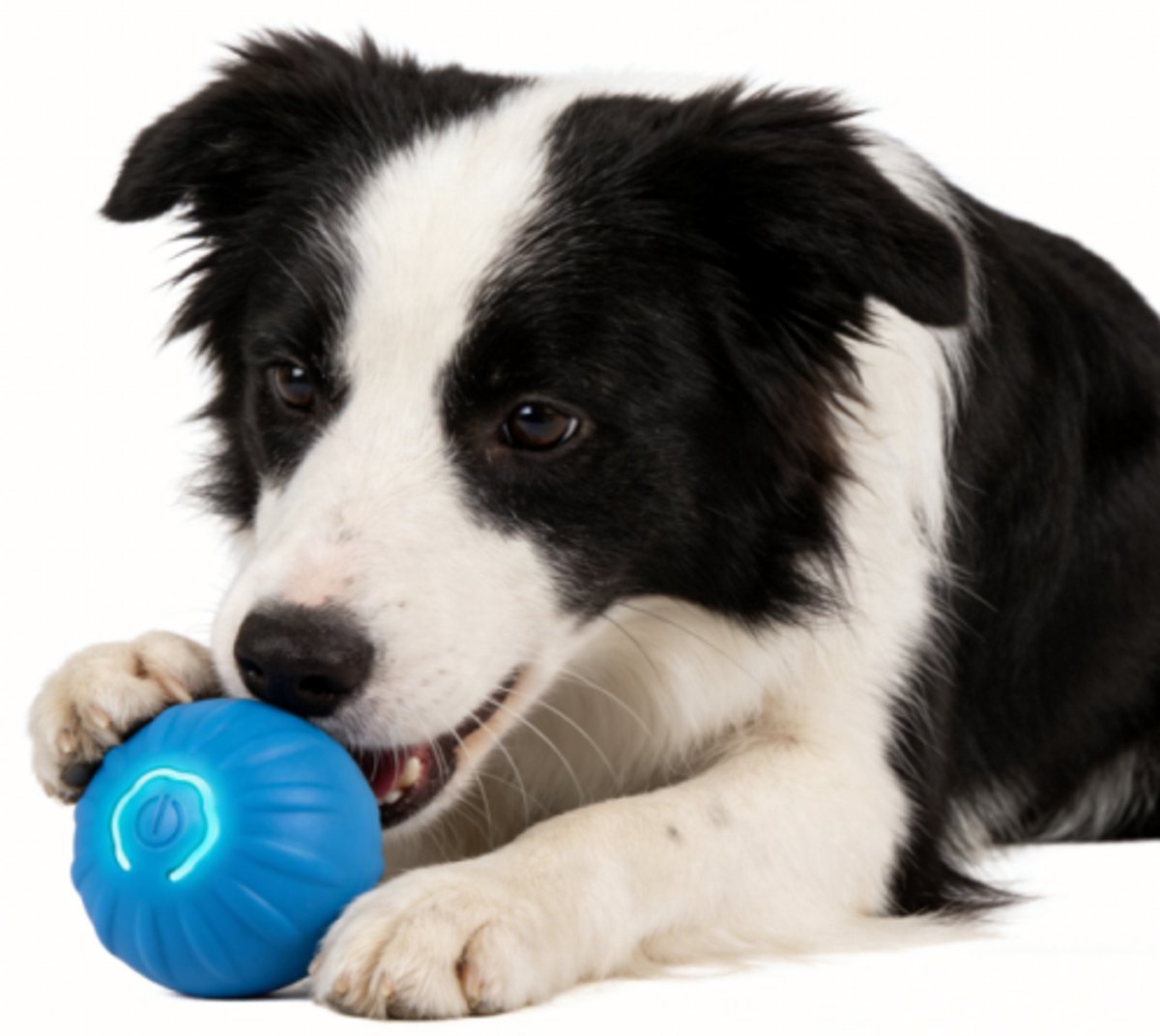 Interactieve Vibrerende Bal met LED Verlichting - USB Oplaadbaar Hondenspeelgoed voor Kleine en Grote Honden - Blauw