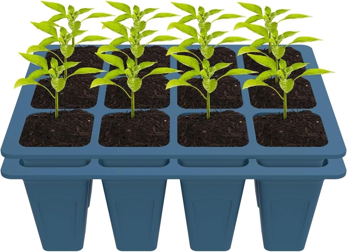 Zaadbakjes - Kweekbakjes - Planten Starten - Uitstekende Drainage - 2 Stuks - Donkergroen