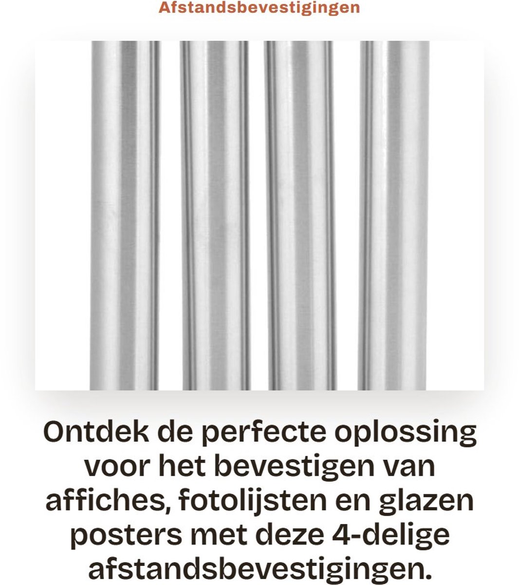 Dailygoods- Afstandhouders 4-delig - Muurbevestigingen - Standoff Houder - Bevestigingspennen - Rubber buffer - 19x120 mm - Standoffs