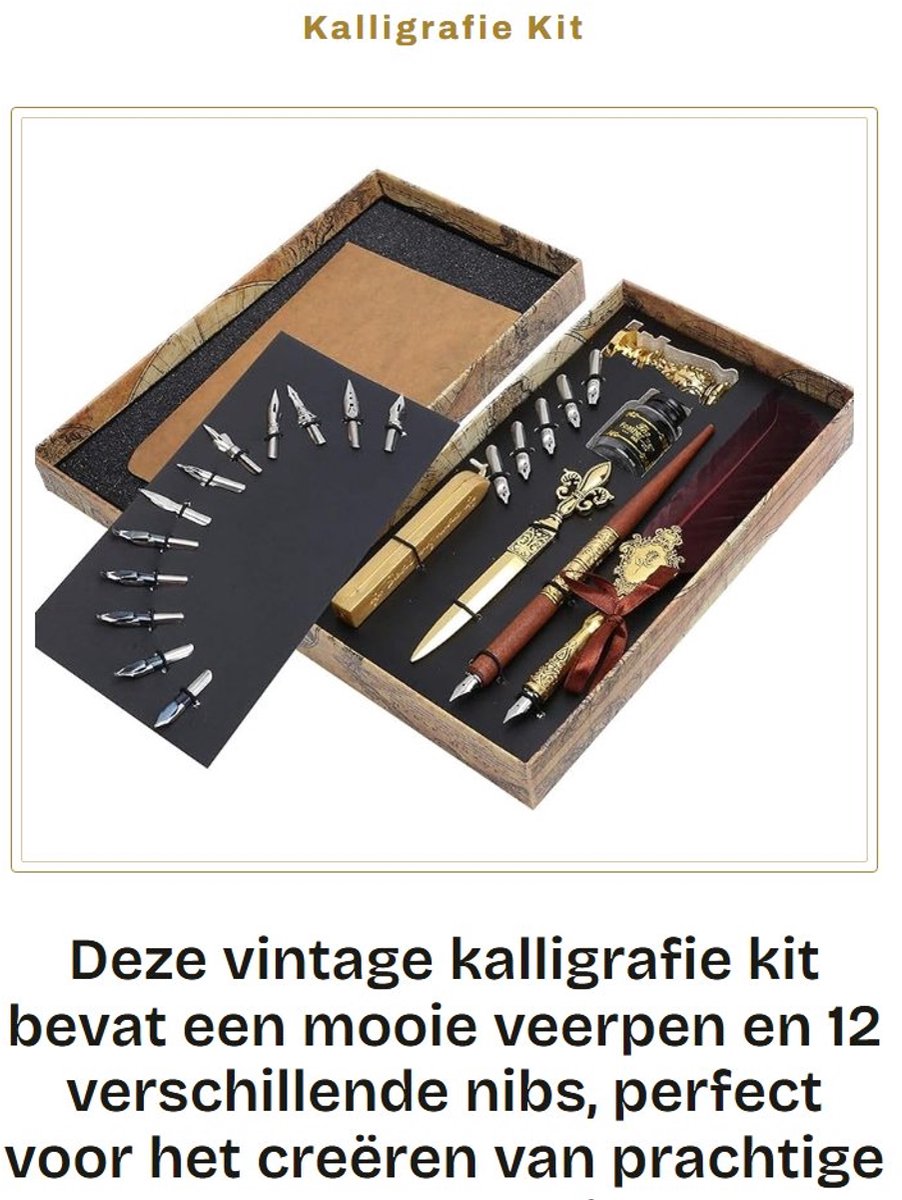 Dailygoods- Kalligrafiepen Vintage - Kalligrafie Kit - 12 Stuks Fancy Nibs - 5 Stuks Art Nibs - Metalen Gegraveerde Stempel - Retro Design - Schrijfpen