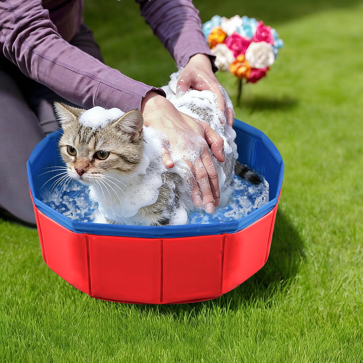 Kattenbad - Opvouwbaar kattenzwembad thumbnail 6