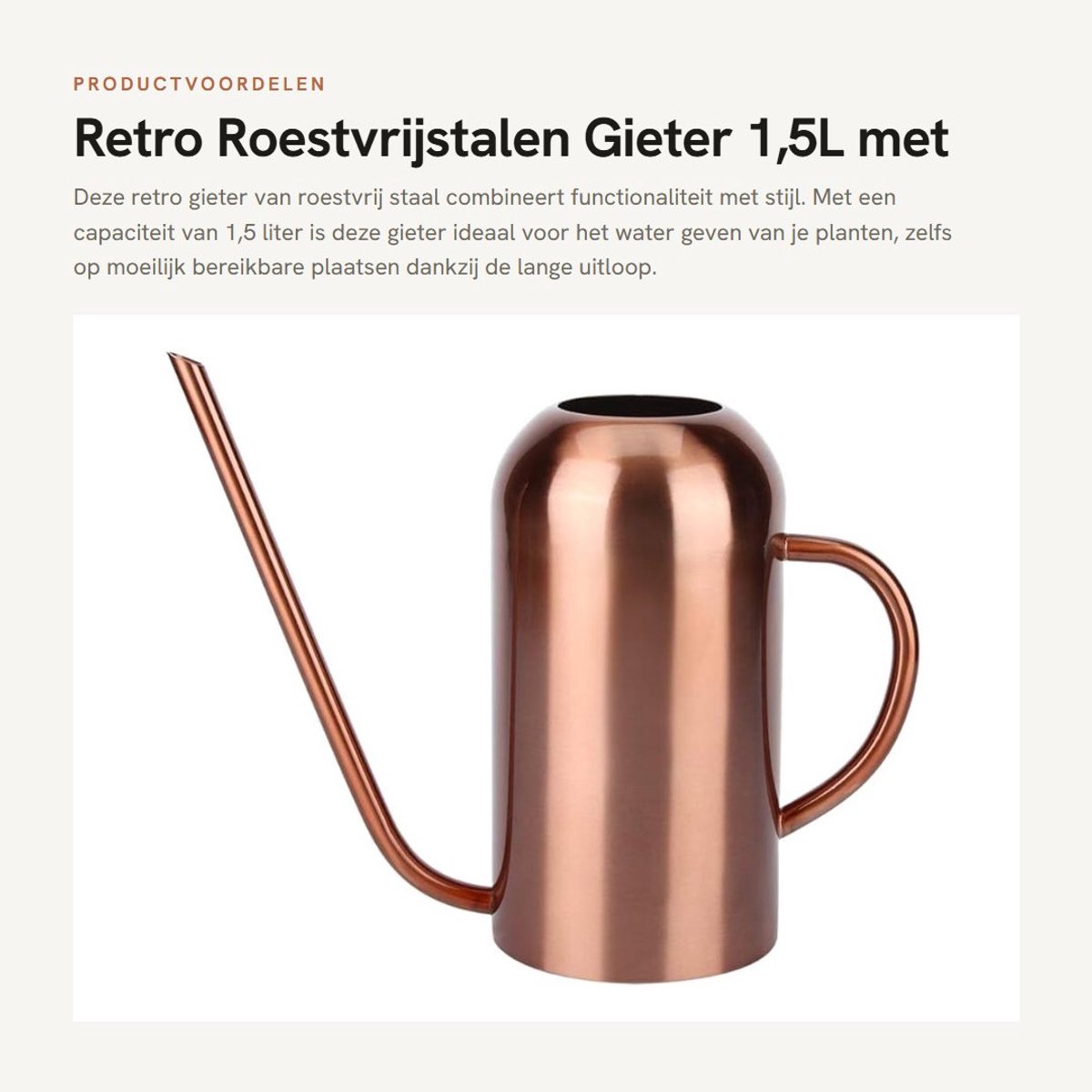 Dailygoods- Gieter 1,5 liter - Roestvrij staal - Tuingieter - Lange uitloop - Ergonomisch ontwerp - Geschikt voor vetplanten - Plantenbewateringscan