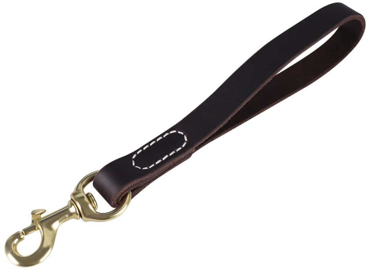 Dailygoods- Hondenriem 11,5 inch - Leren Korte Hondenriem - 2 cm Breed - Hondenverkeersriem - Geschikt voor Grote Honden - Sterk Leermateriaal - Hondentuig