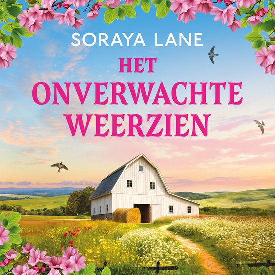 Het onverwachte weerzien - cover