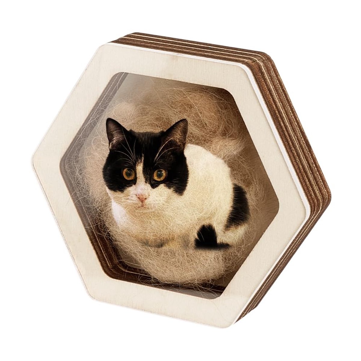 Dailygoods- Herdenkingsdoos Hout - Zeshoekige Herinneringsdoos - Opslag voor Huisdierhaar/Tanden/As - Perfect Cadeau voor Dierenliefhebbers - Afmetingen 110x97x23,5mm - Herinneringsbox