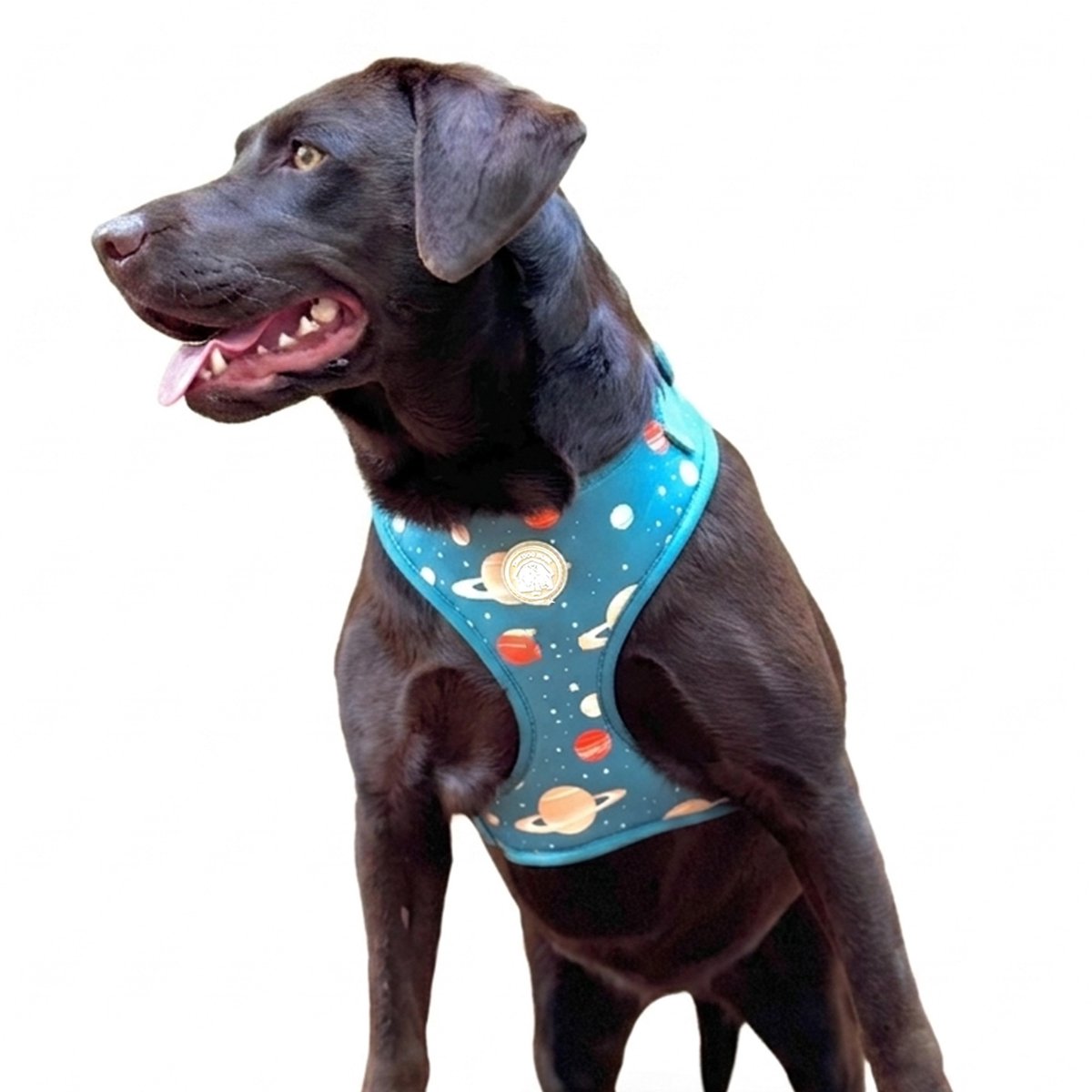 Hondentuigje - Hondenharnas - Y Tuig Hond - Groen - Sterren en Planeten Print - Maat XS - Kleine hond - The Dog Farm