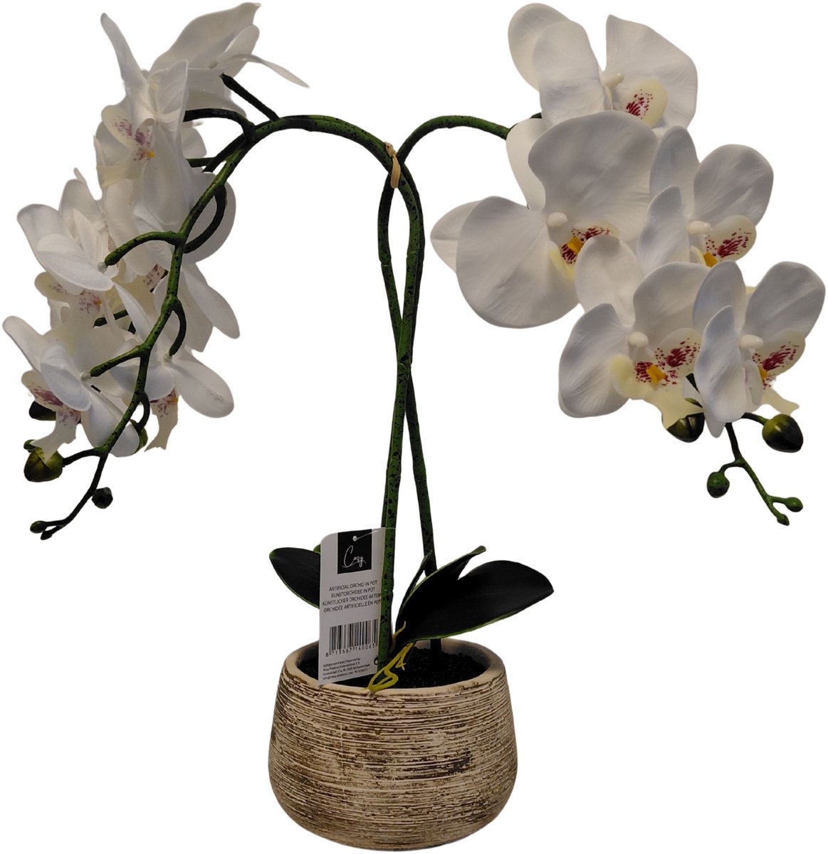 Cozy Maison Kunst-Orchidee in Pot – Wit – 40 cm – Realistische Bloemen – Onderhoudsvrije Kamerplant – Cementen Pot