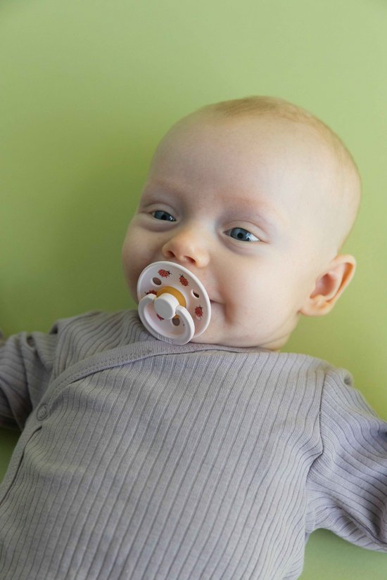 BiBs Studio Colour Fopspeen - Rond - 2 Stuks - 18+ Mnd - Ladybug Sage Mix van Merkloos — afbeelding 5