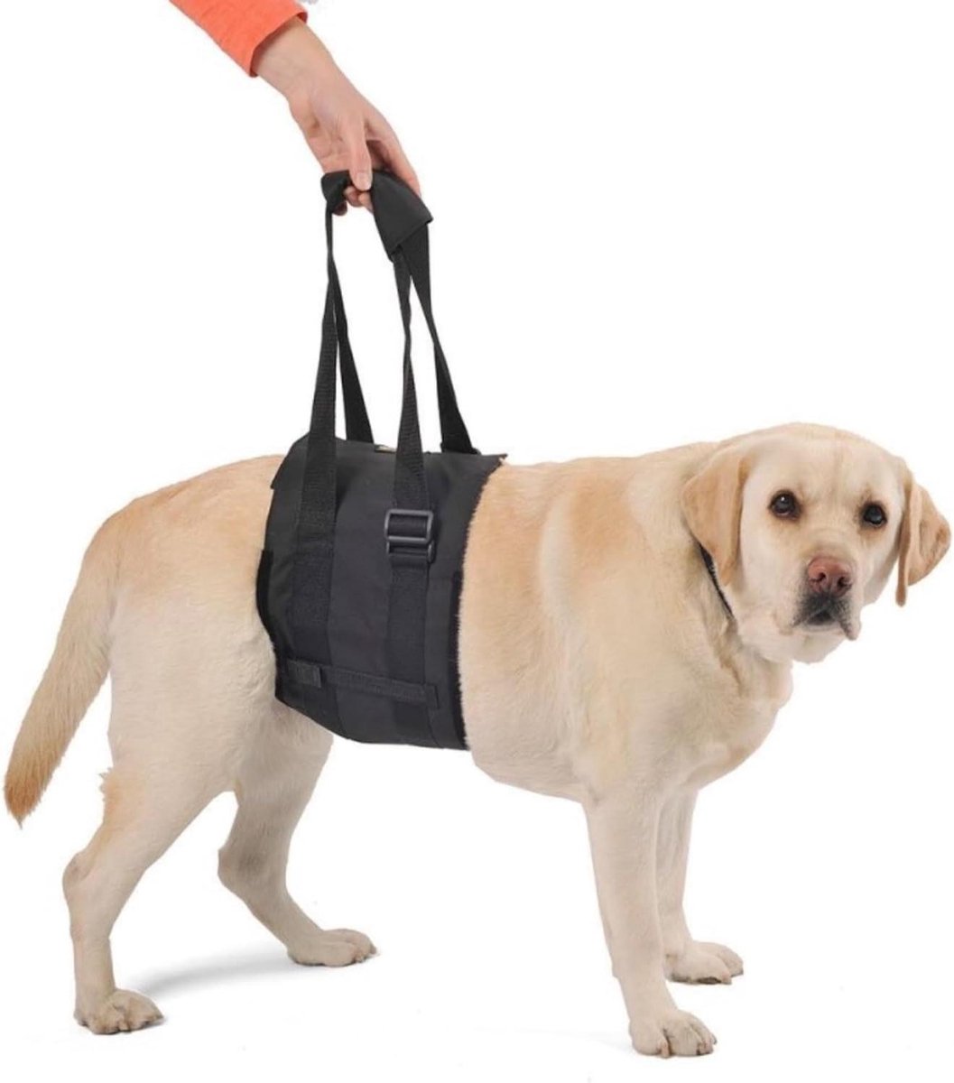 Honden Draagband - Hulpstuk Hond - Ondersteuning Lopen - Verstelbare Handgrepen - Maat M - Zwart