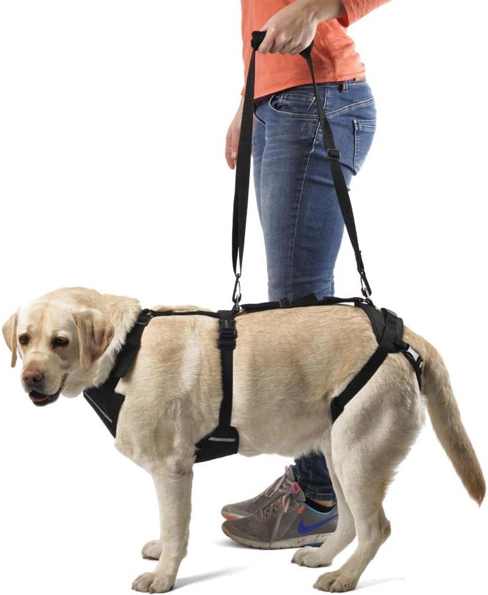 Honden Draaghulp - Ondersteunend Harnas - Hulp bij Lopen - Full Body Ondersteuning - Maat S - Zwart