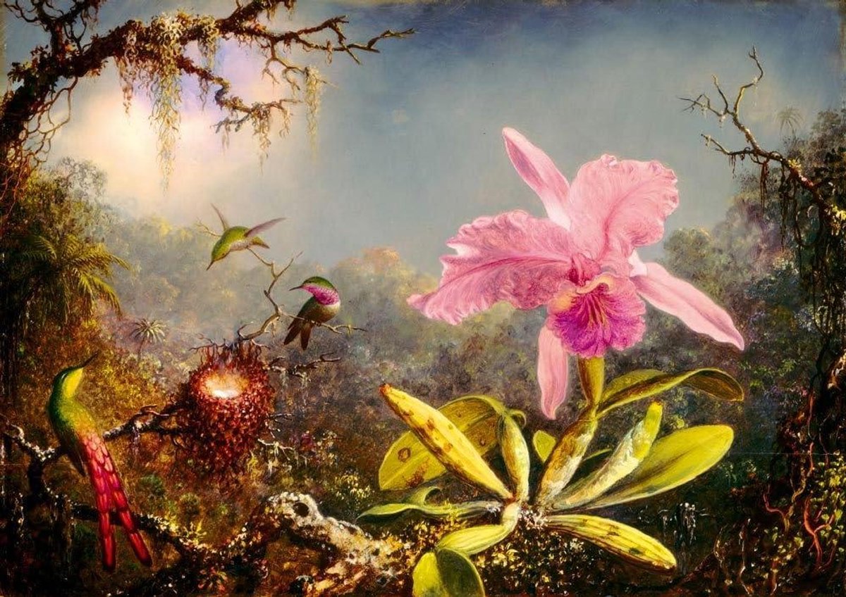Bluebird Legpuzzel - Kamerpuzzel Orchidee - Ontspannen Tijd Verdrijven - Gedetailleerd Kunstwerk - 68x48 cm - Multicolor