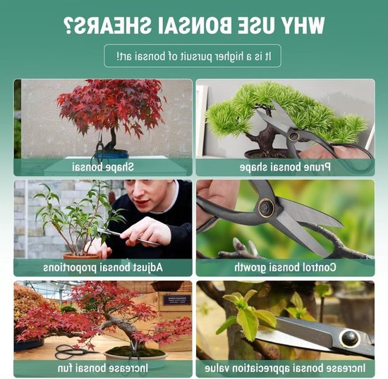 Plantenschaar van 200 mm voor het trimmen en snoeien van bonsai planten — afbeelding 2