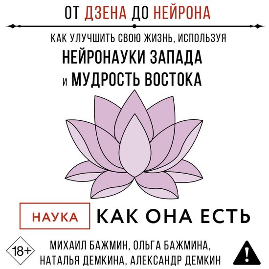От Дзена до Нейрона: как улучшить ... - cover