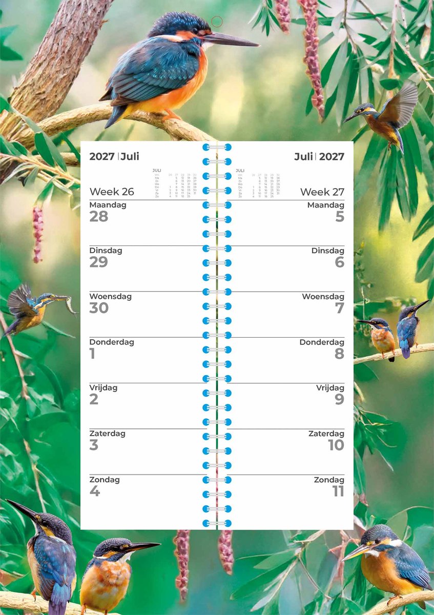 IJsvogel Weekomleg Kalender 2027