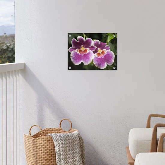 Décoration de Jardin Orchidée sauvage - 40x30 cm - Toile de jardin