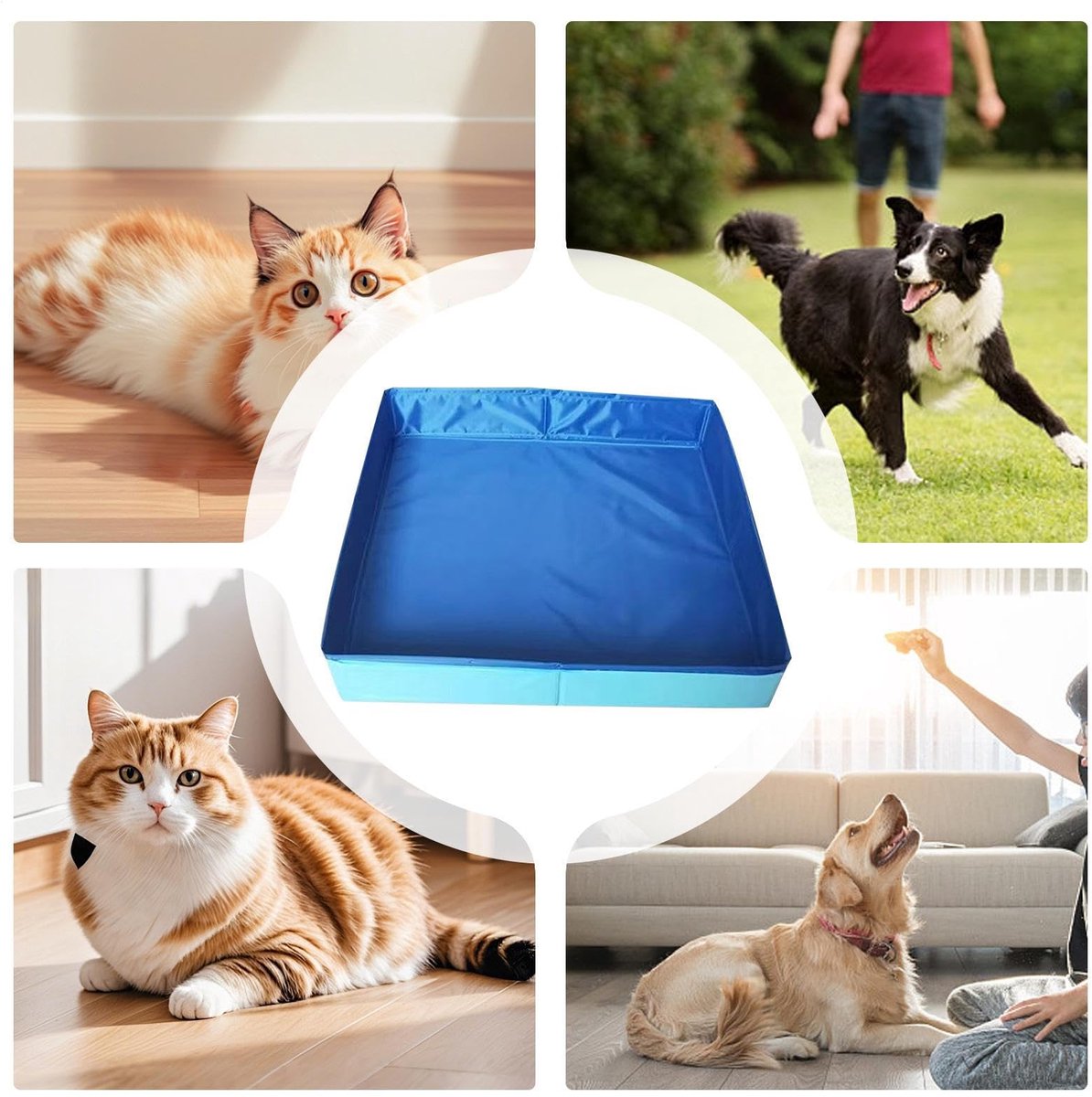 Hondenzwembad – Opvouwbaar kattenzwembad – Minizwembad voor katten & honden – Wadingpool voor huisdieren – Zomers badplezier – Blauw – 50 x 50 x 10 cm thumbnail 5