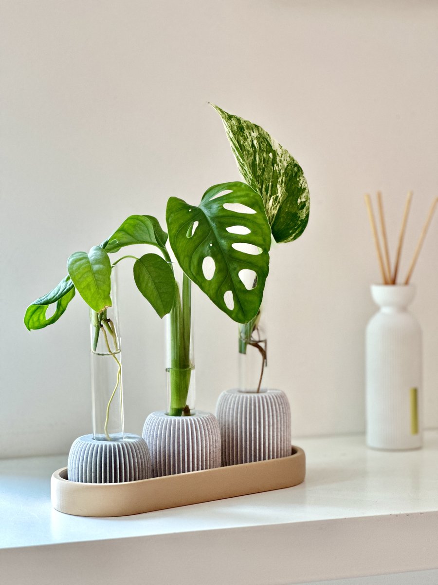 BOLTO Stekhouder met Reageerbuisjes – Stekjes station voor Monstera & Pothos – Kweekstation Kamerplanten – Urban Jungle Cadeau