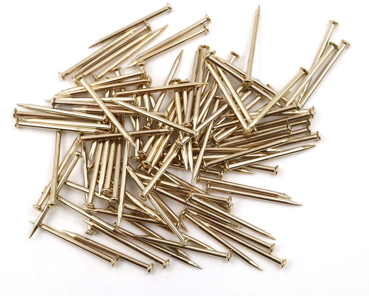 Dailygoods - Dailygoody - Stalen pennen - Plintpennen voor bevestiging - Messing - Spijkers voor houtbewerking - 100 stuks - Geschikt voor doe-het-zelf projecten