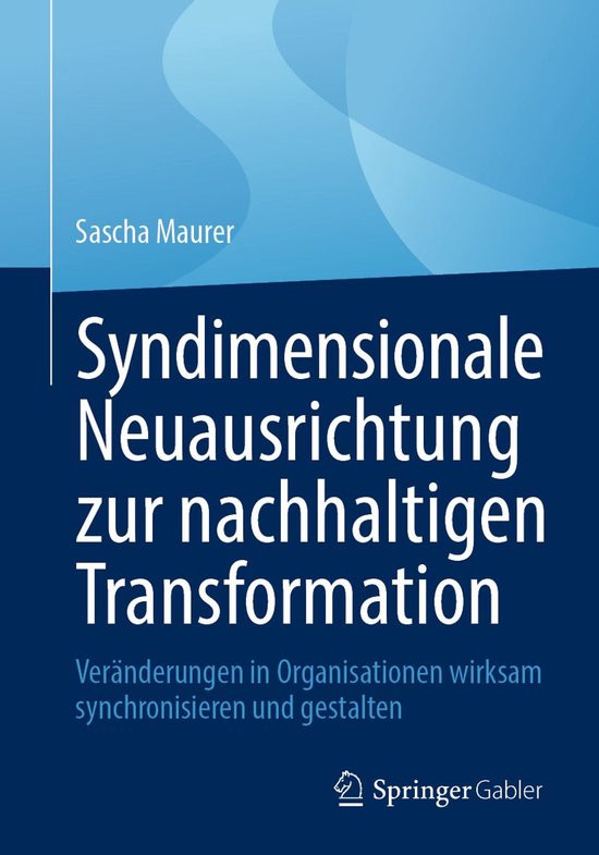 Business and Economics (German Language) - Syndimensionale N ... - cover