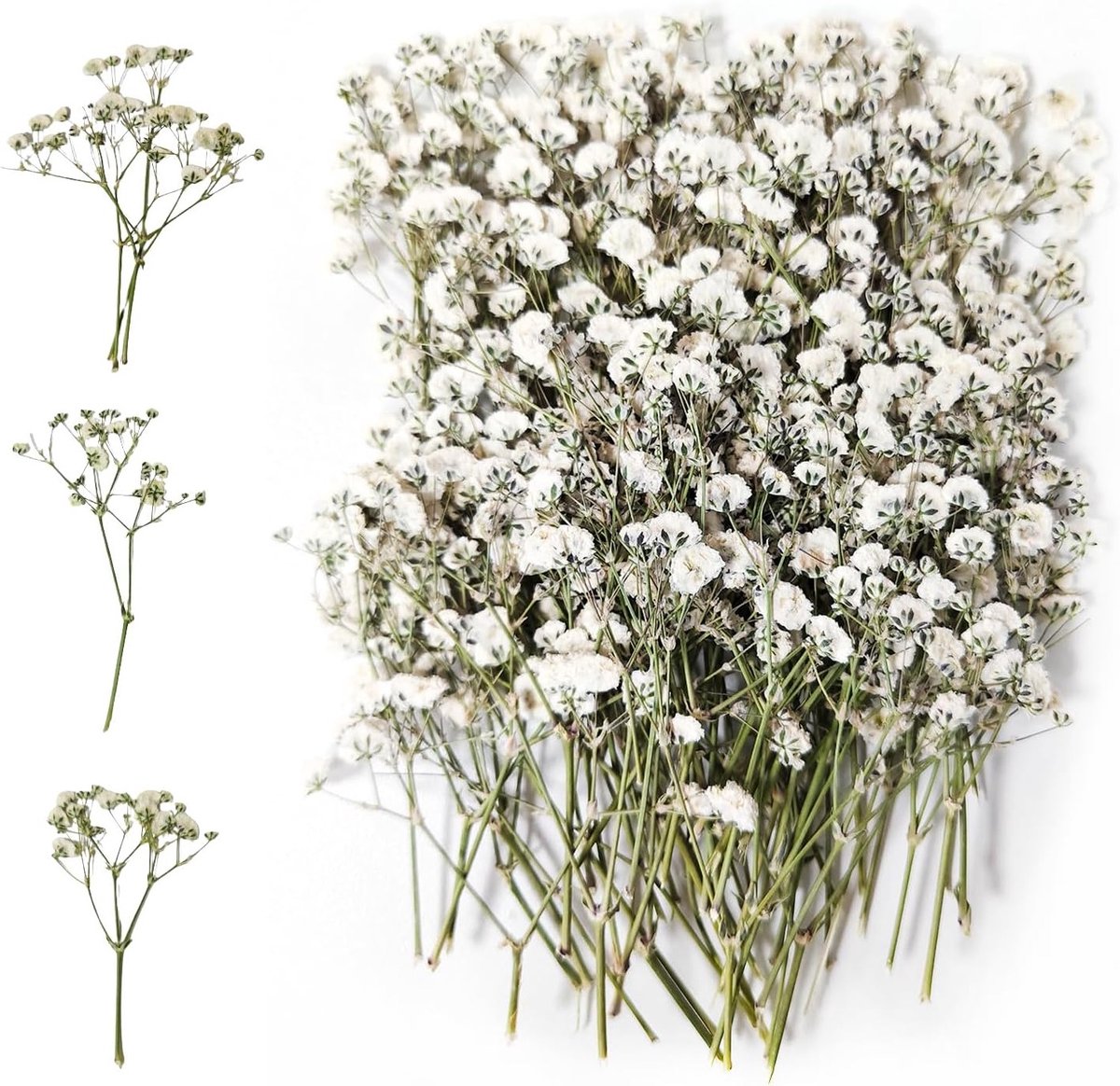 100 Stuks Gedroogde Gypsophila (Wit) voor Decoraties, Perfect voor Resin, Ambachten en Bloemstukken