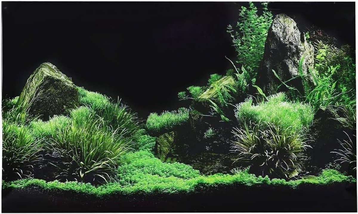 Dailygoods - Dailygoody - Aquariumposter - 3D achtergronddecoratie - PVC zelfklevend - waterdicht - zeebodem decoratie - geschikt voor aquarium - 91 x 50 cm