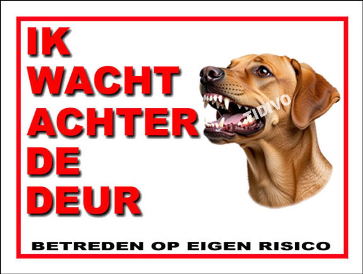 Broholmer 10