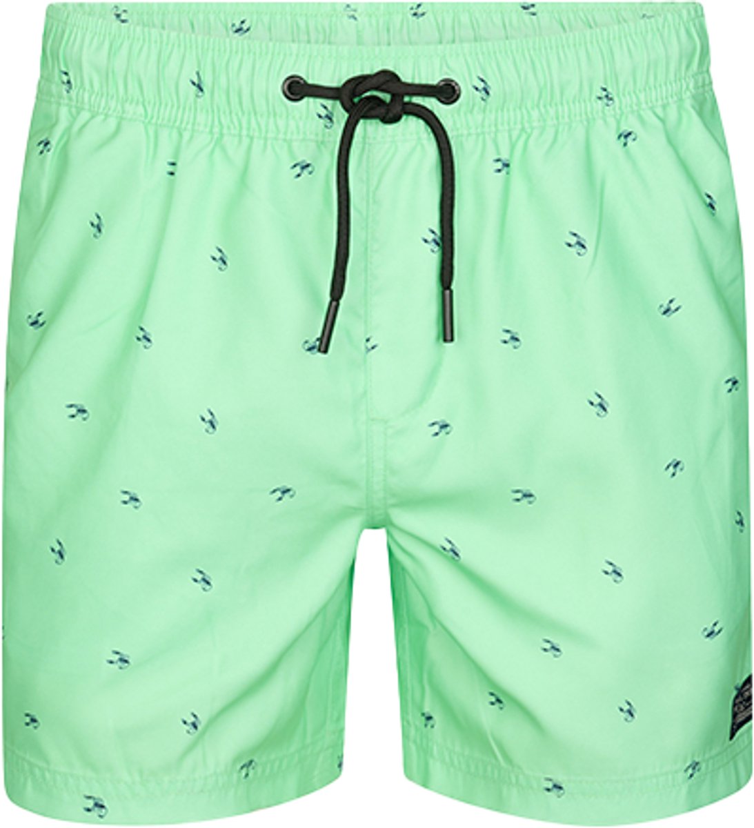 Petrol Industries Swimshort Print