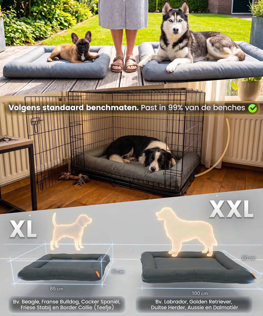 Happysnoots Orthopedische Hondenmand XXL - 10cm Koudschuim thumbnail 5