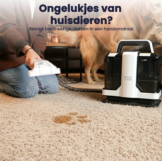 Een hond en vrouw gebruiken een vlekkenreiniger op een tapijt. "Ongelukjes van huisdieren? Reinigt hardnekkige vlekken in een handomdraai."