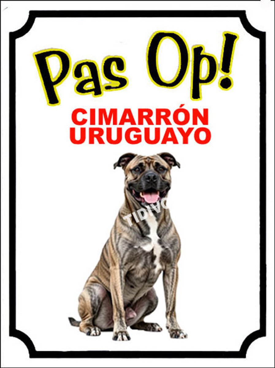 Cimarrón Uruguayo 16