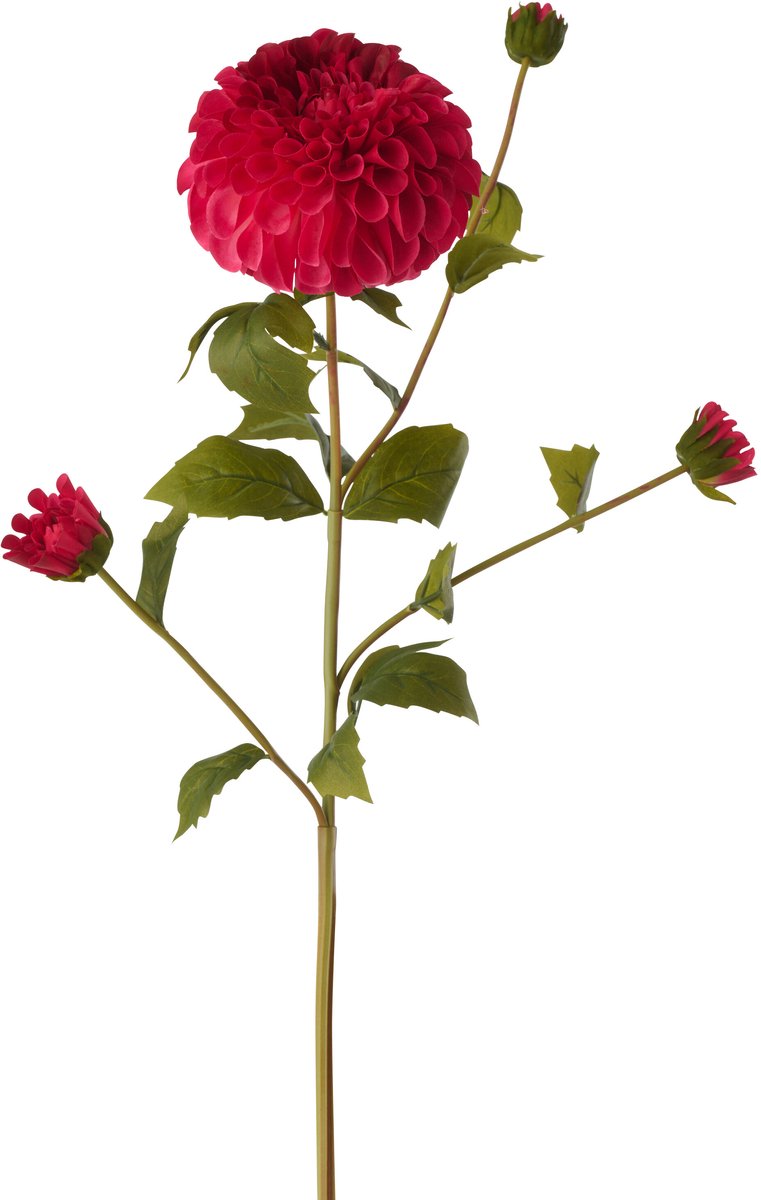 J-Line Bloem dahlia Echt Gevoel - kunststof - fuschia - 4 stuks