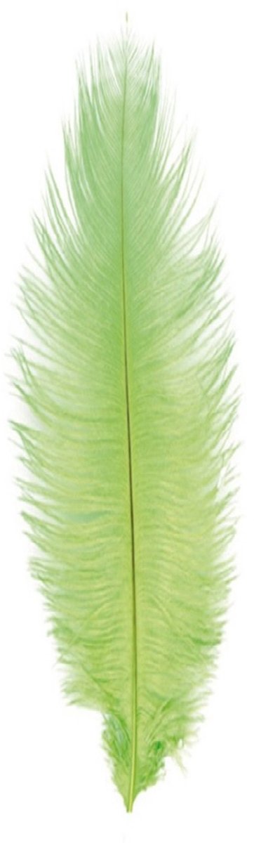 Chaks Struisvogelveer/sierveer - lime groen - 55-60 cm - decoratie/hobbymateriaal