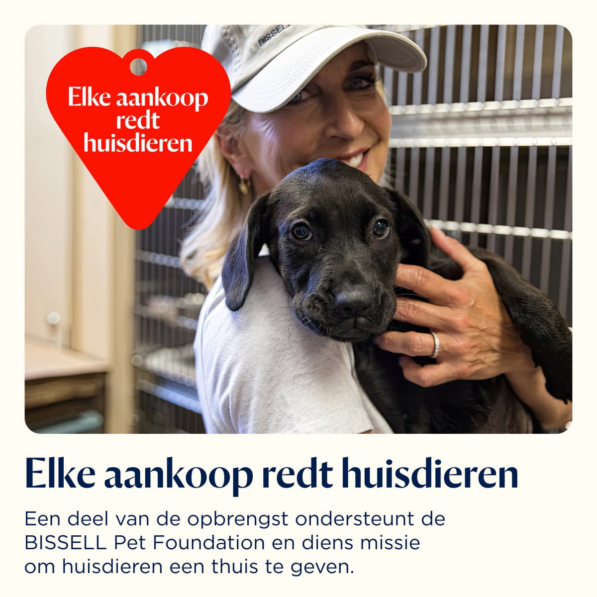 BISSELL PowerClean FurFinder Draadloze Steelstofzuiger - afbeelding 3